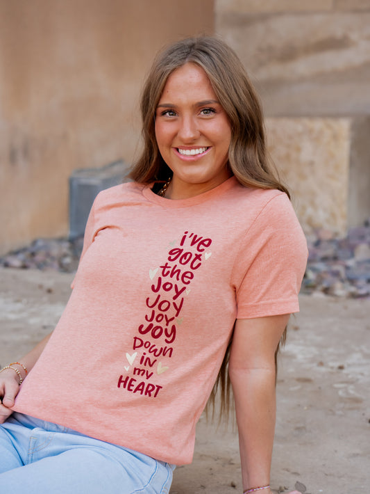 I've Got the Joy - Jesus Tee